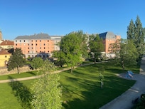 Window view nice park area surrounding
