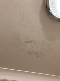 dirty mould