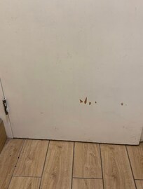 Dirty walls and floors