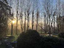 Property in the morning