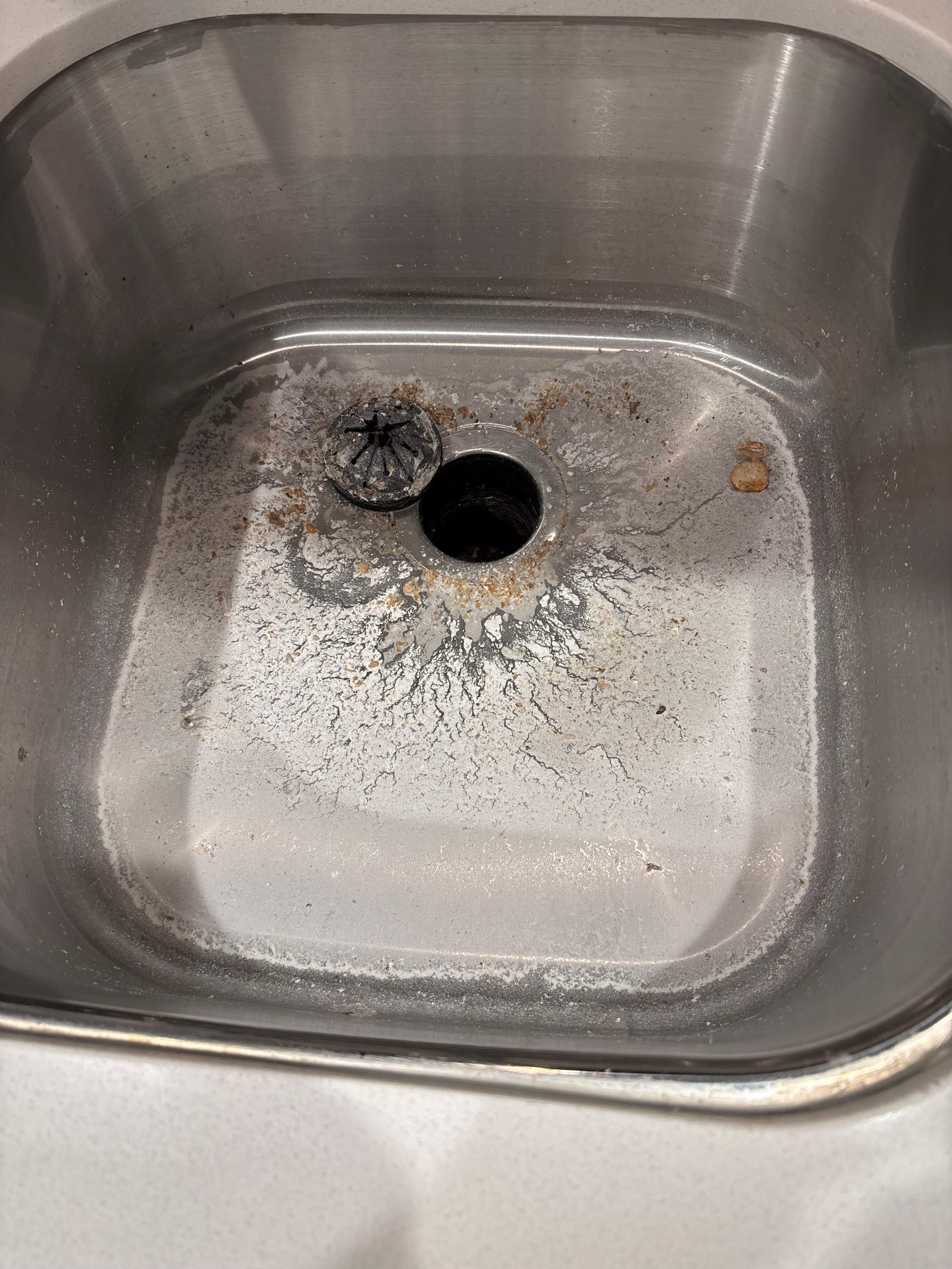 Sink that looked like the drain had backed up.