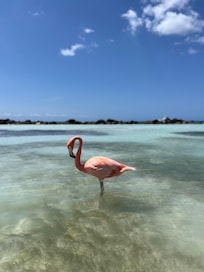 Ilha privativa