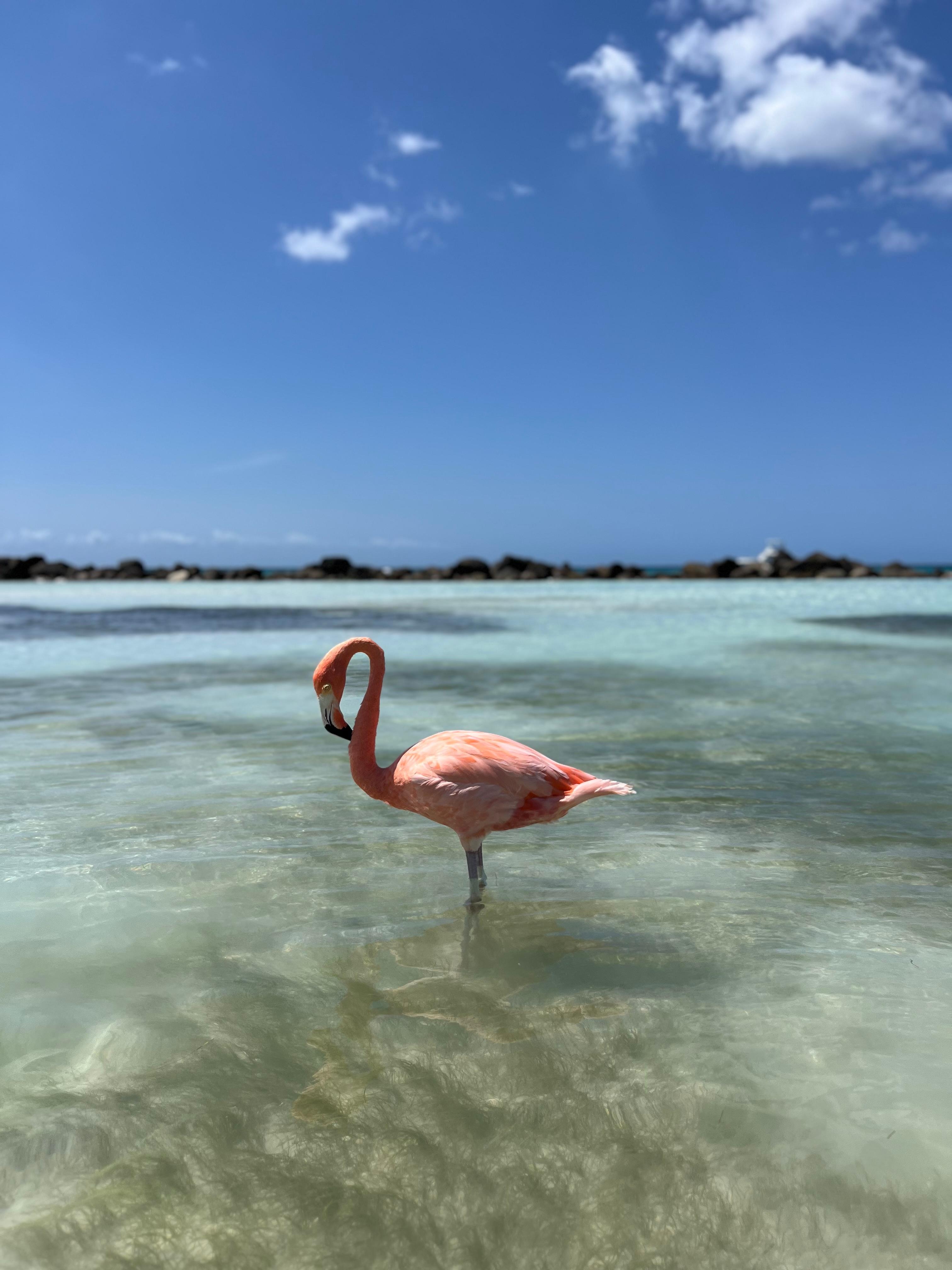 Ilha privativa