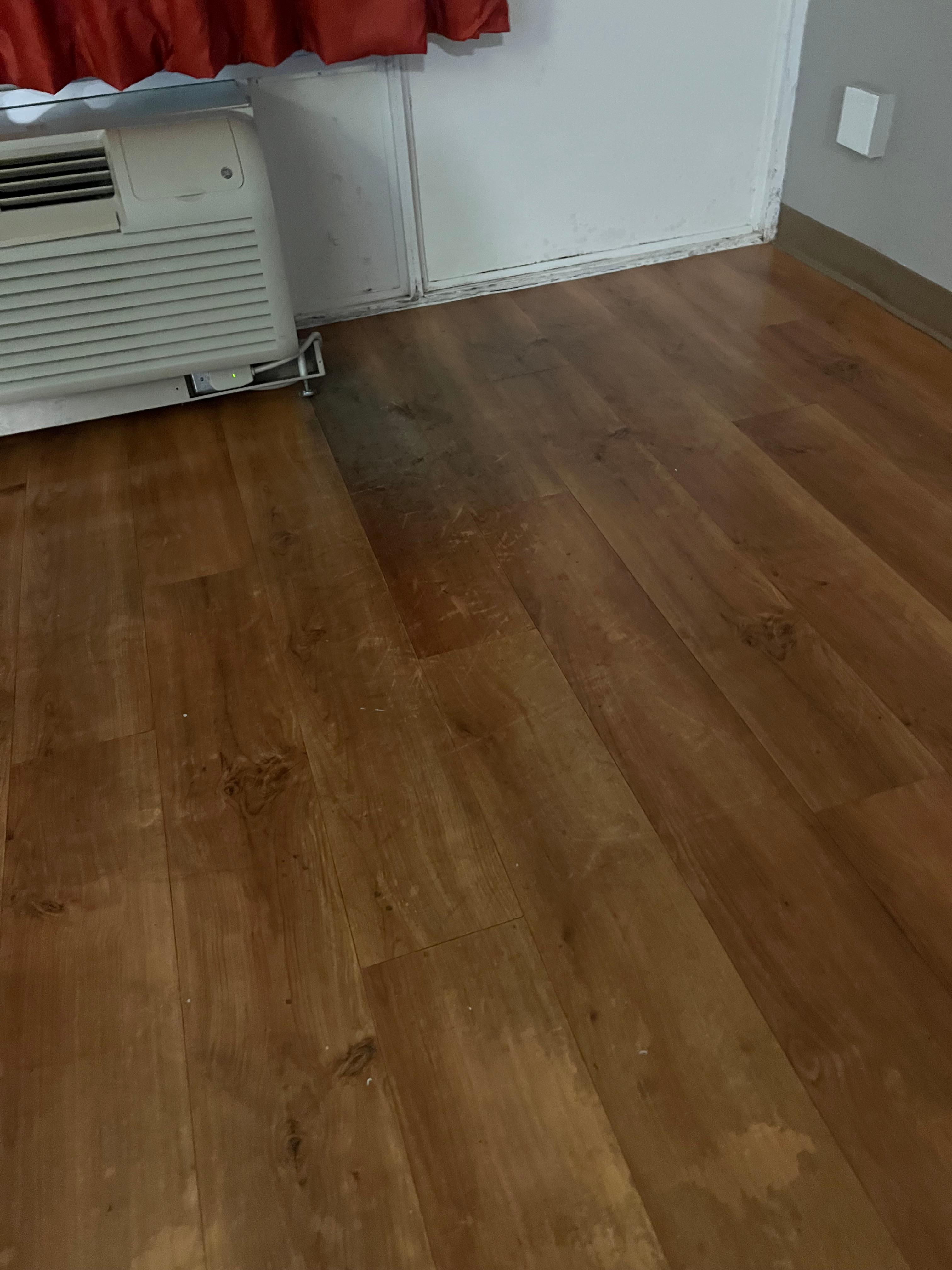Mold in the corners of the walls