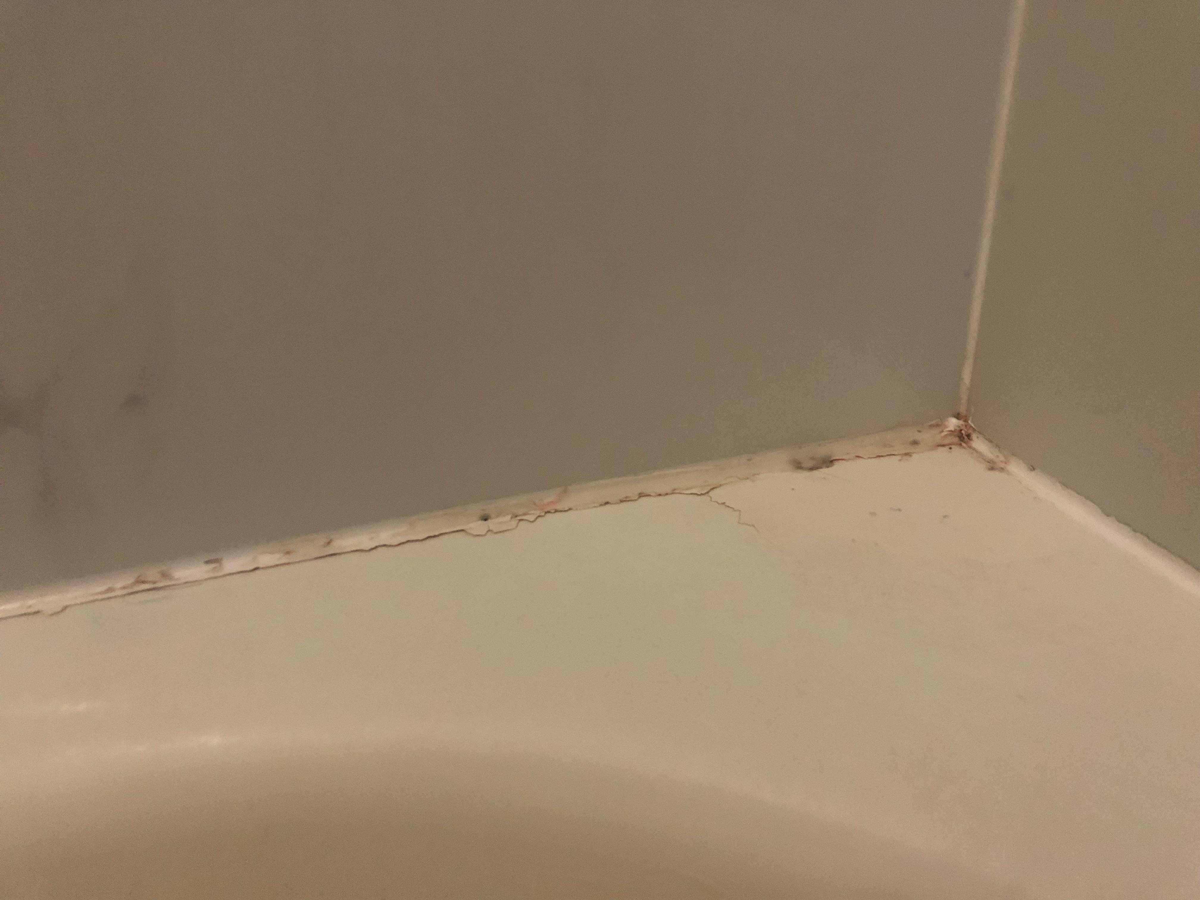 dried blood and more black mold/grime around edge of tub