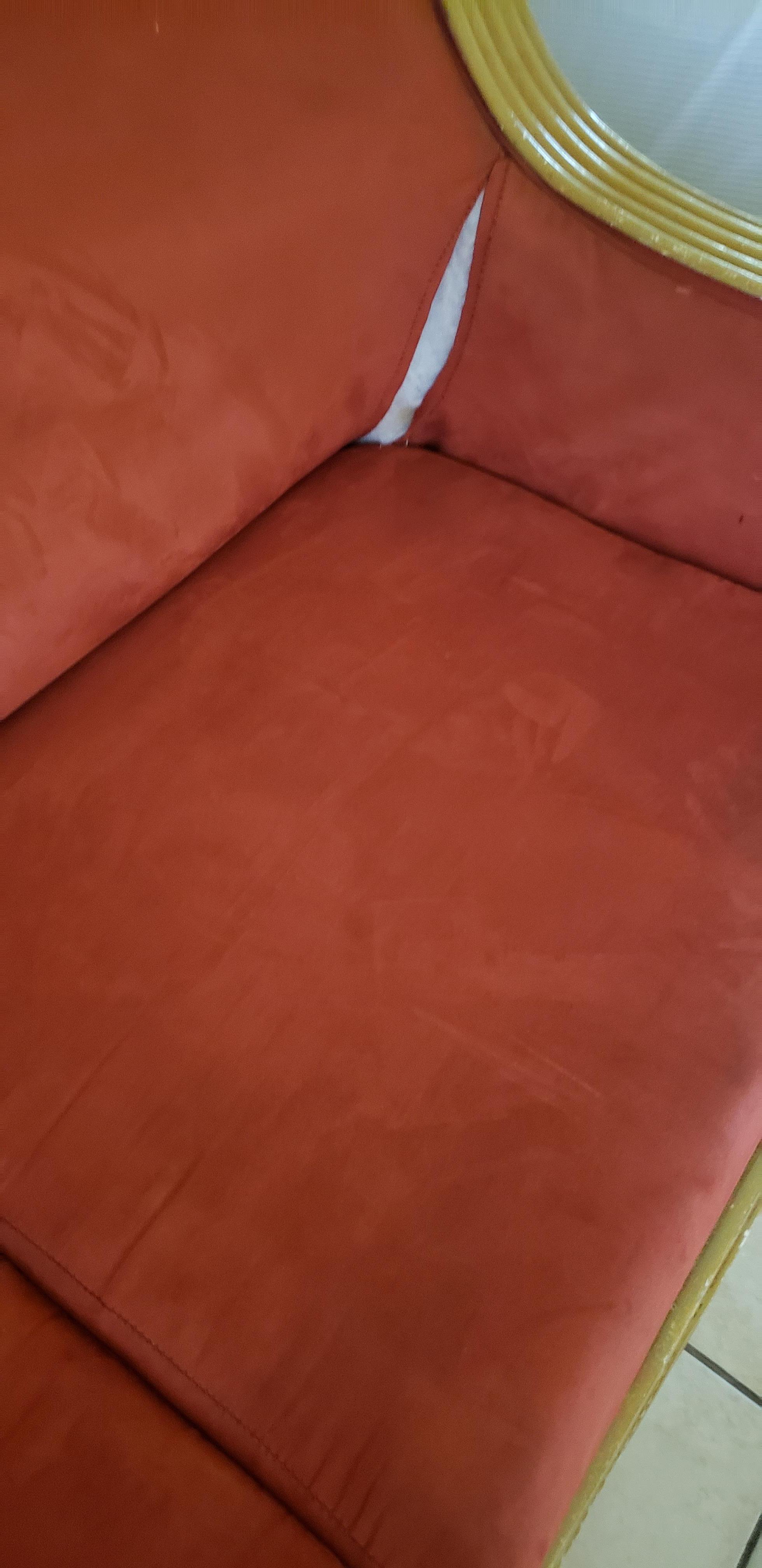 Torn sofa bed