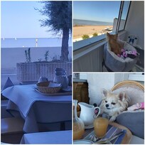 SALLE DU TI DEJ
VUE DE NOTRE TERRASSE
MEME MON TI CHIEN A ADORE