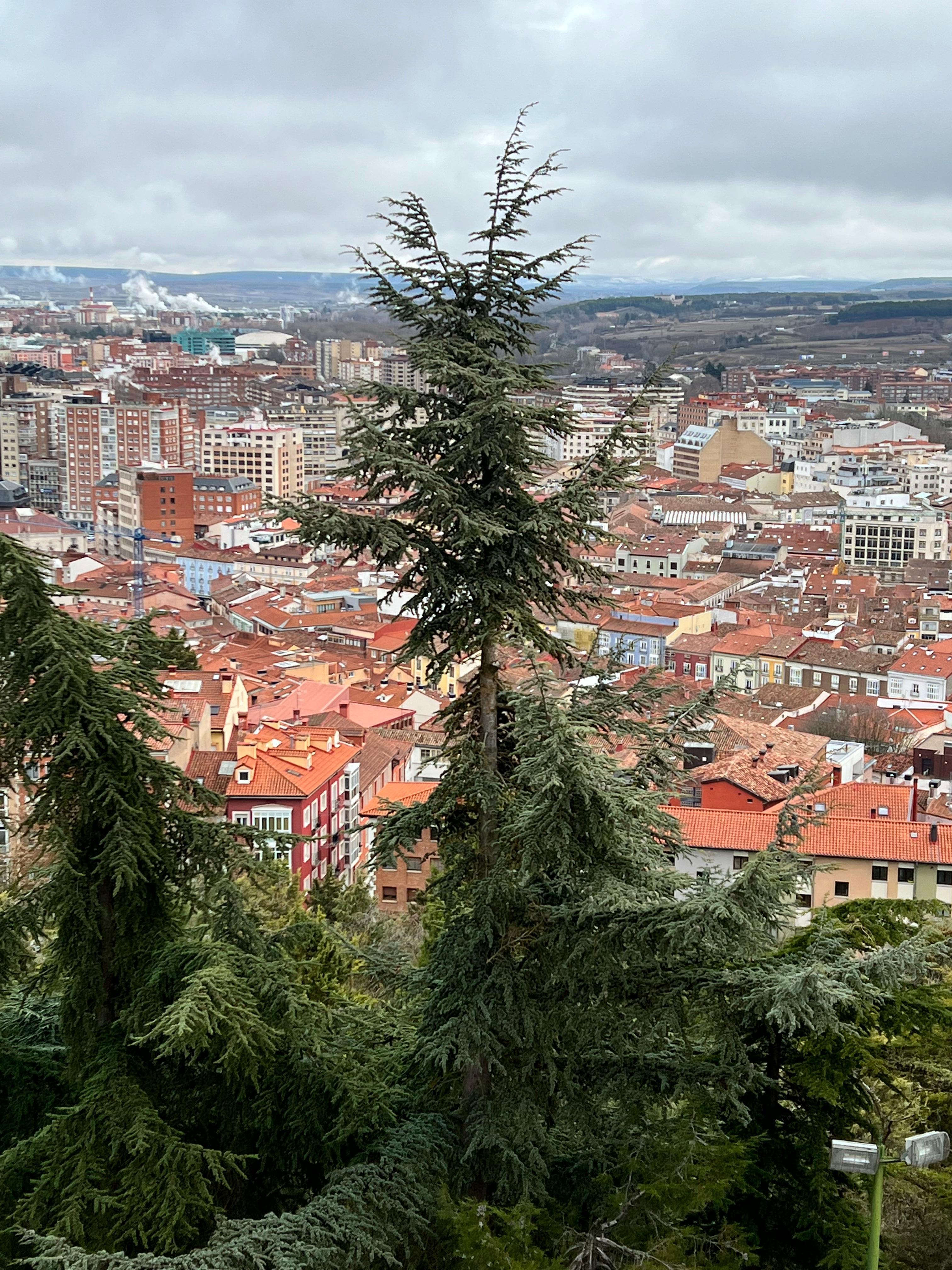 Vistas de la ciudad desde un mirador 