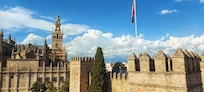 View from roof