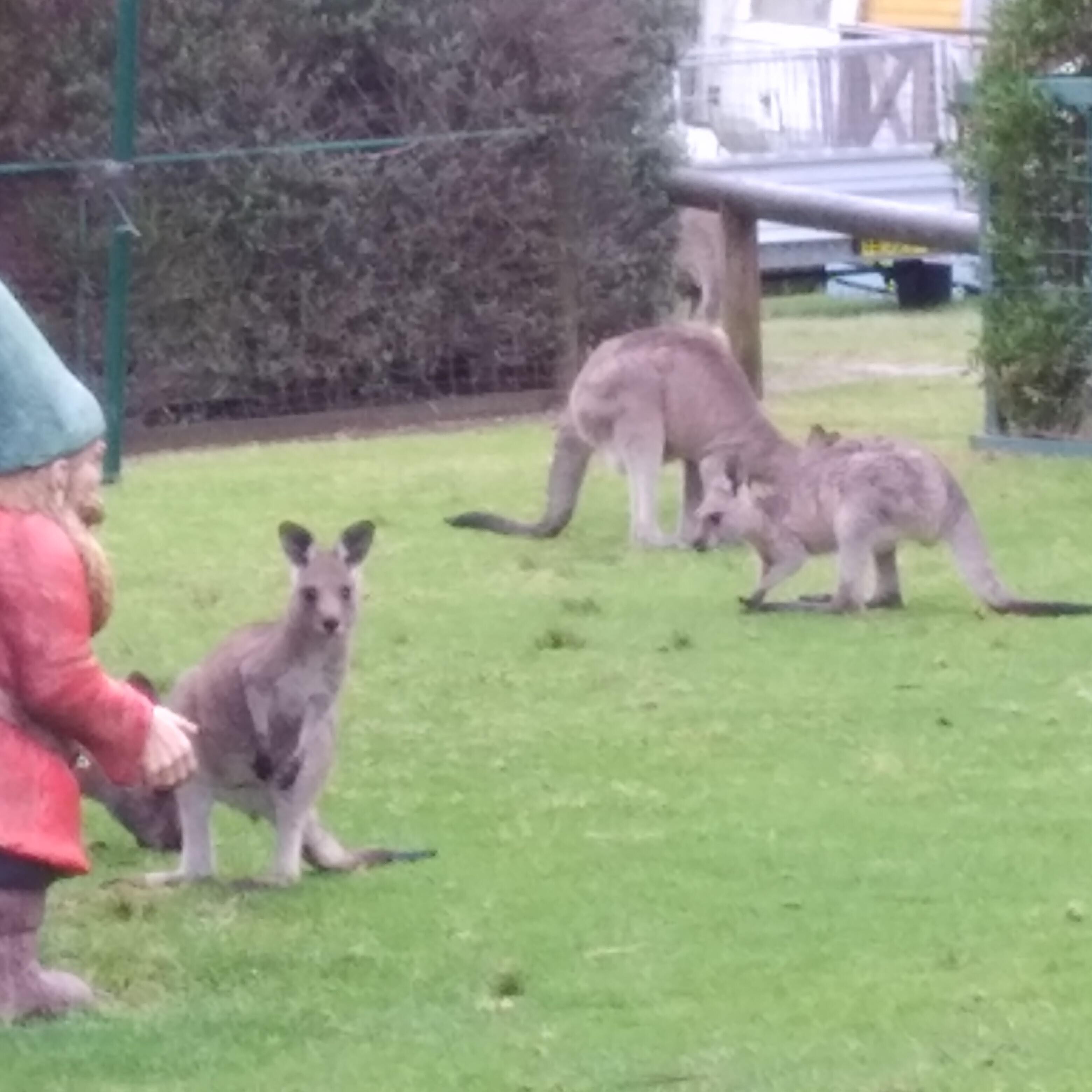 Breakfast just outside my cabin