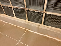 Disgusting shower