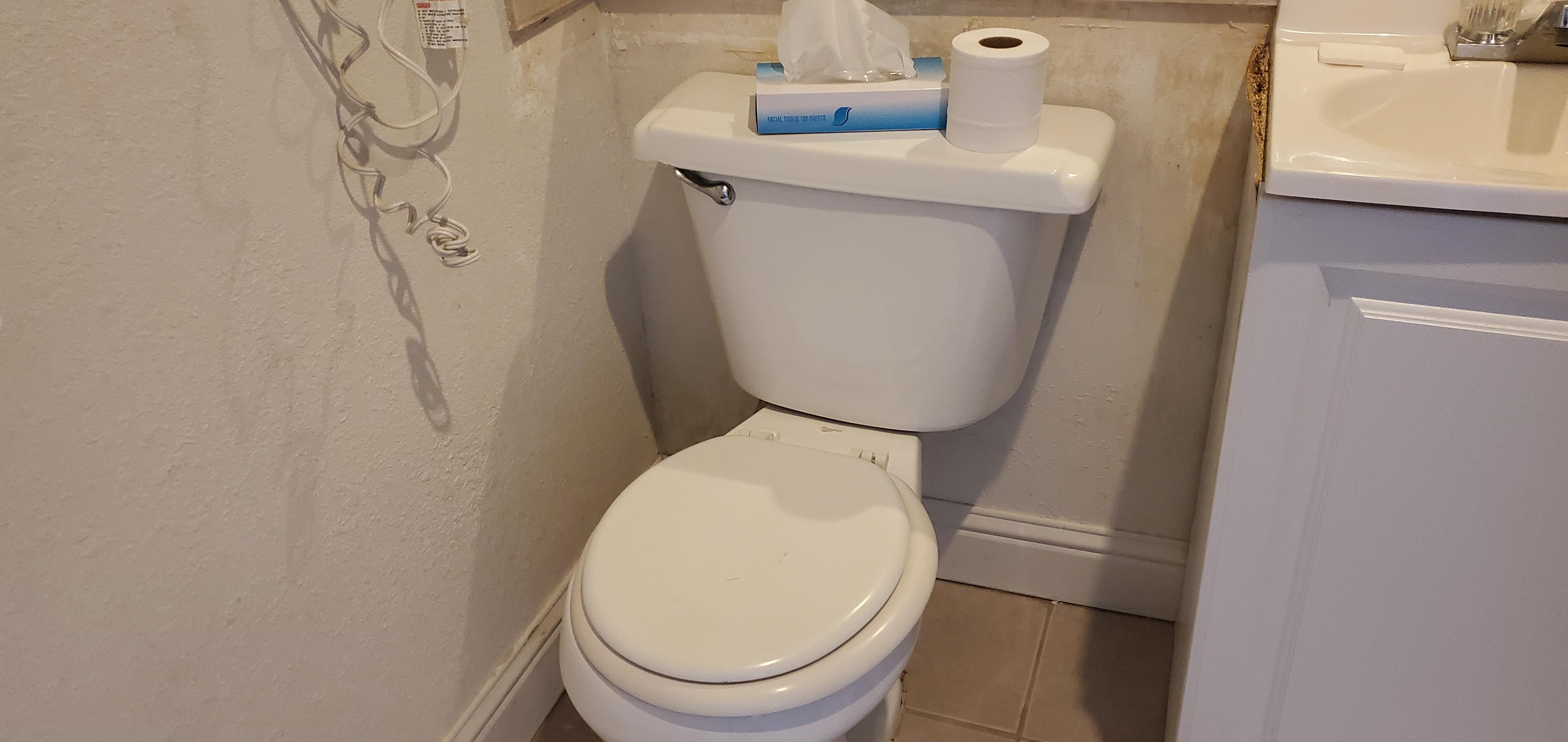 No toilet roll holder