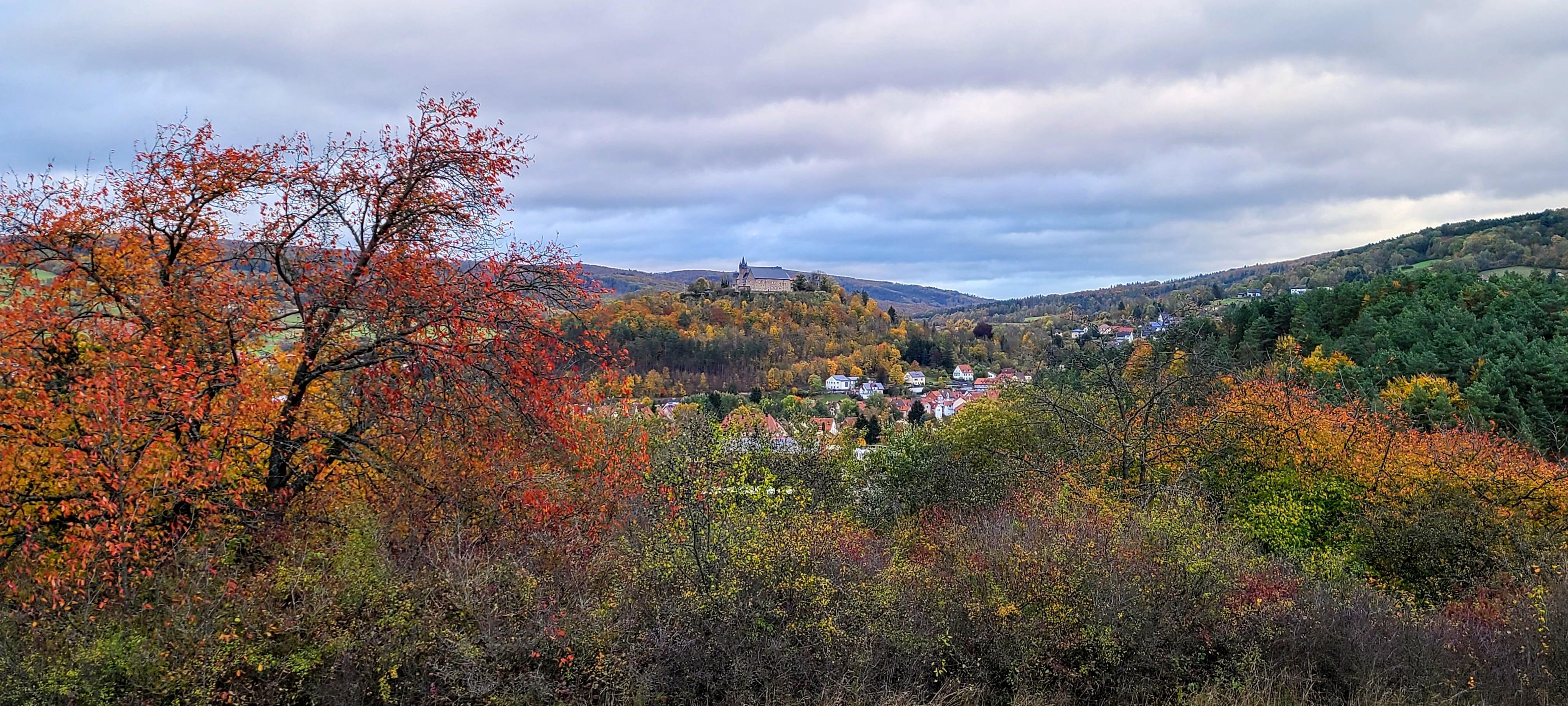 The castle from the town
