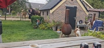 Horses and coffee in the garden.