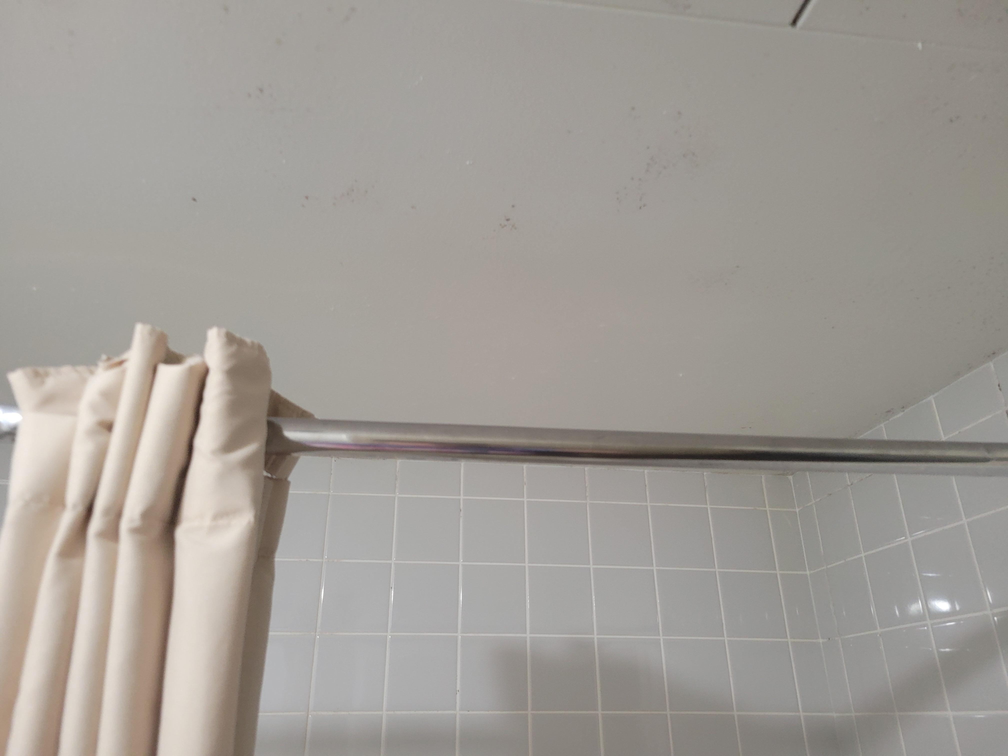 Bathroom mold