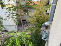 Vue sur ce qui est appelé jardin