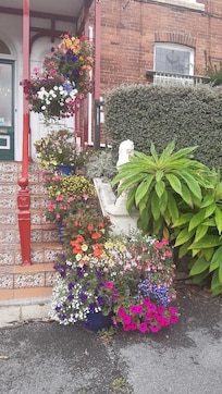 Beautiful flowers at Robin Hill Hotel