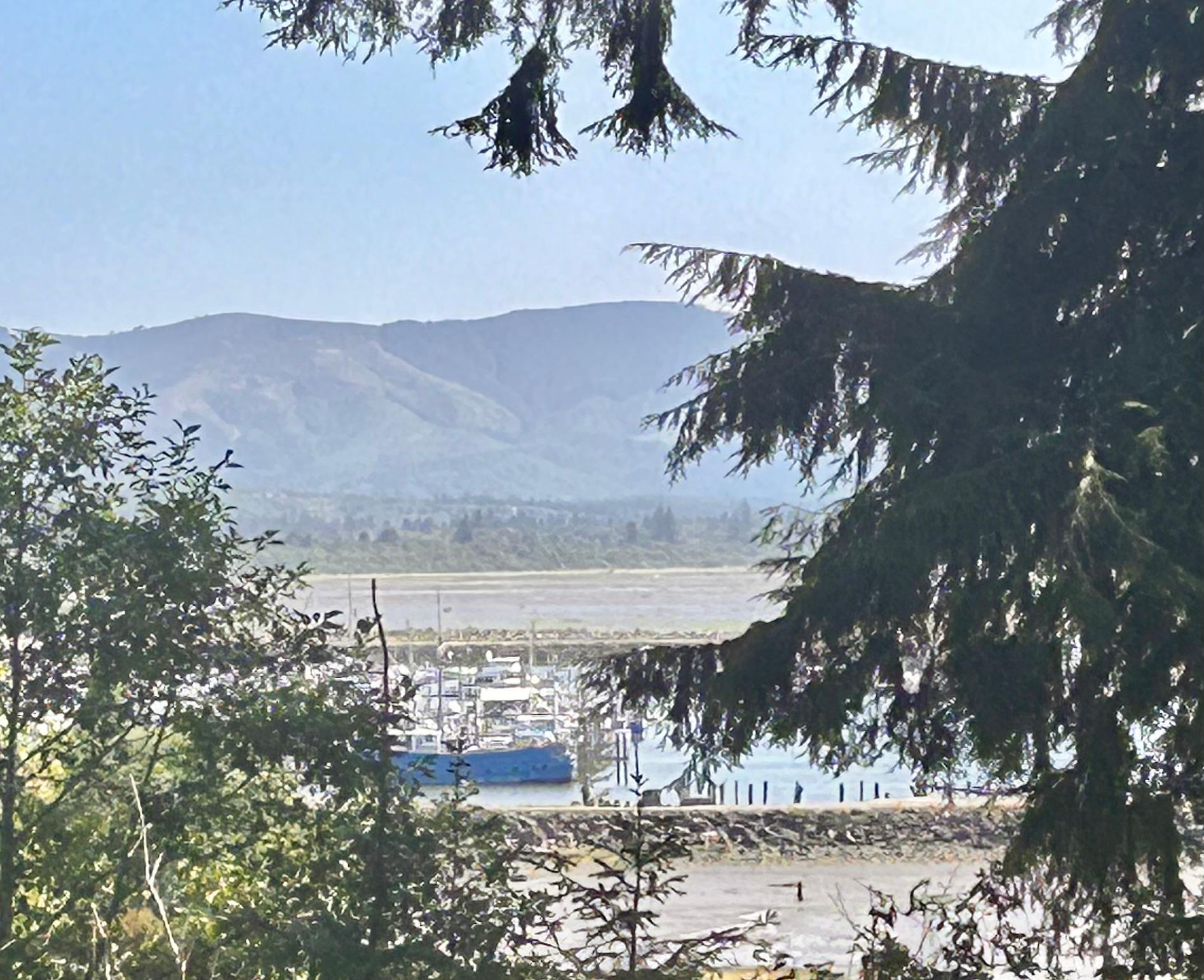 View of Ilwaco