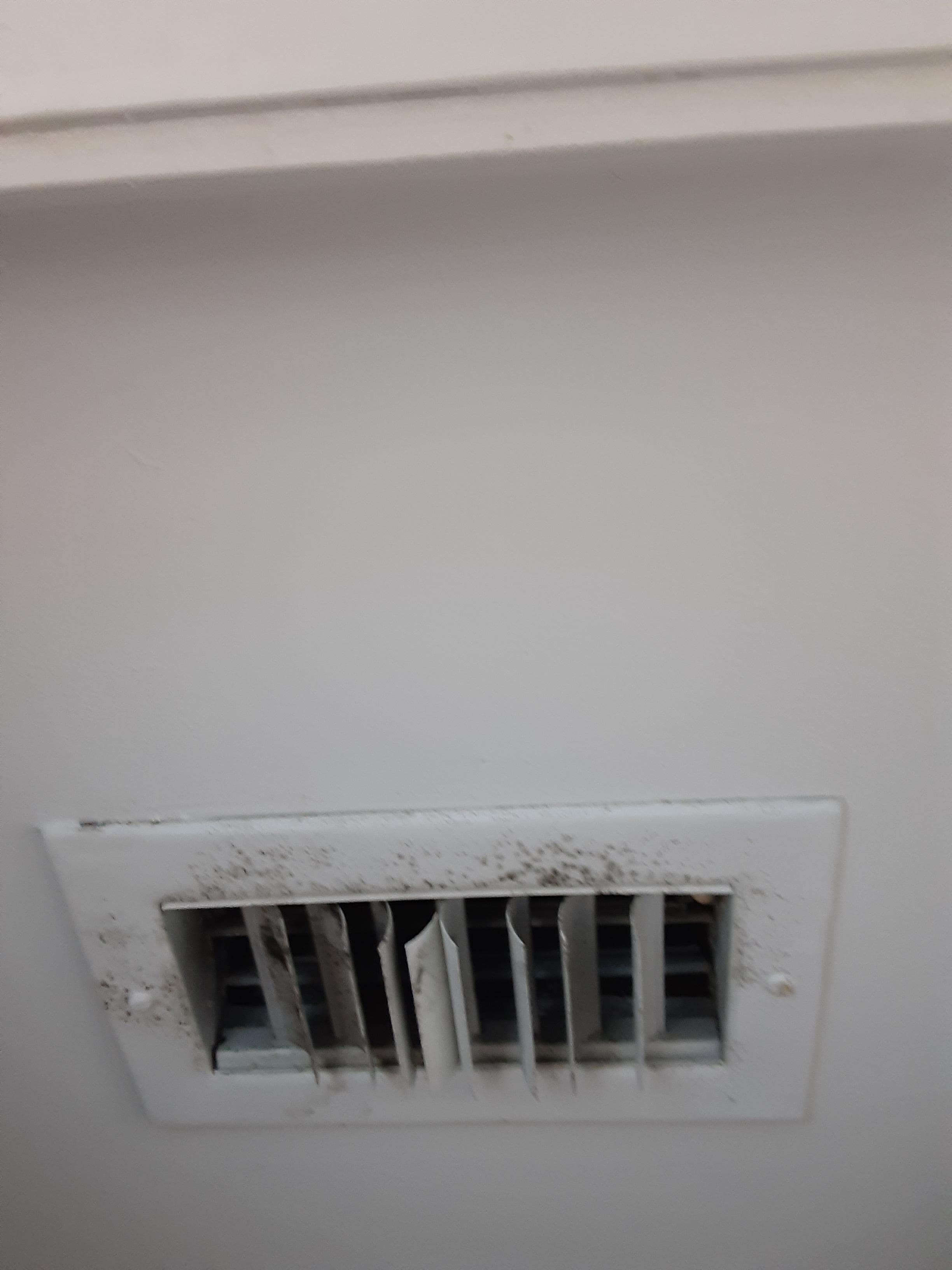 Molded vent😡🤢
