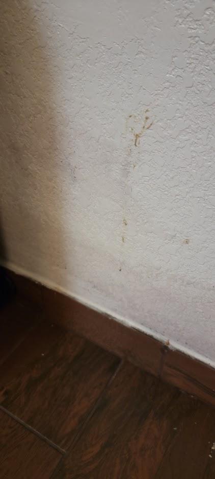 what appears to be blood on the wall