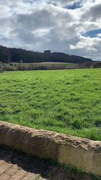 View from the garden of penshaw monument