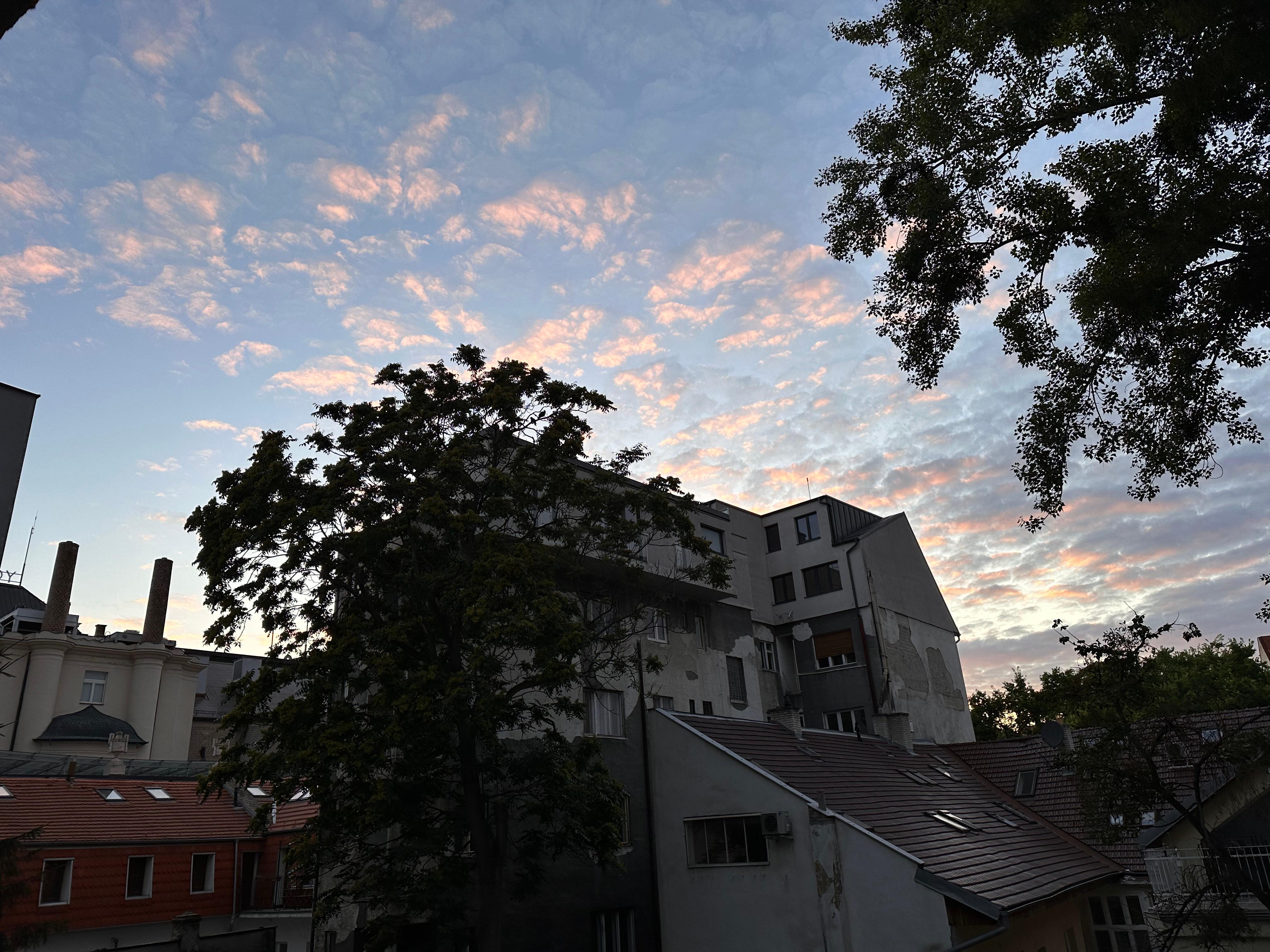 Courtyard view