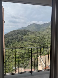 Mountain View from the room
