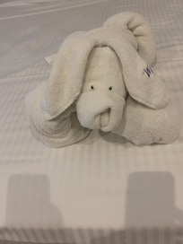 Personal made a nice dog with a towel .