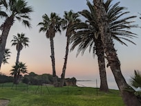 part of the garden at sunrise, plus a view of the sea in the background.