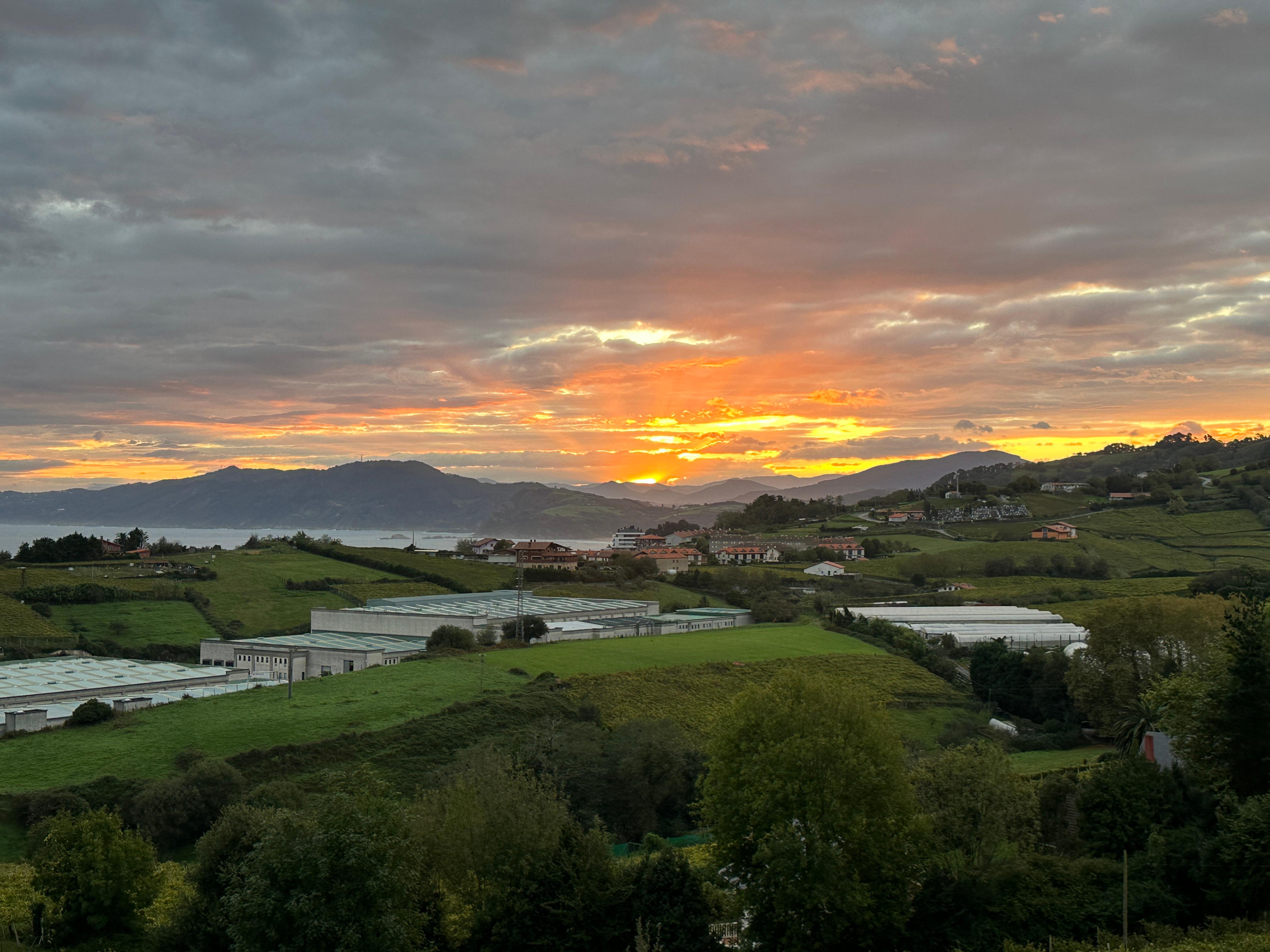 View from the room  towards the hills