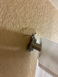 Shower rod