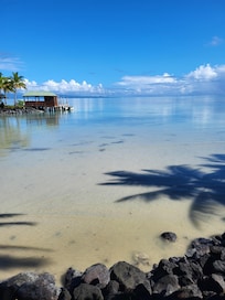 Die Lagune