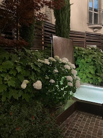 Hermoso jardínes y Selección de naturaleza