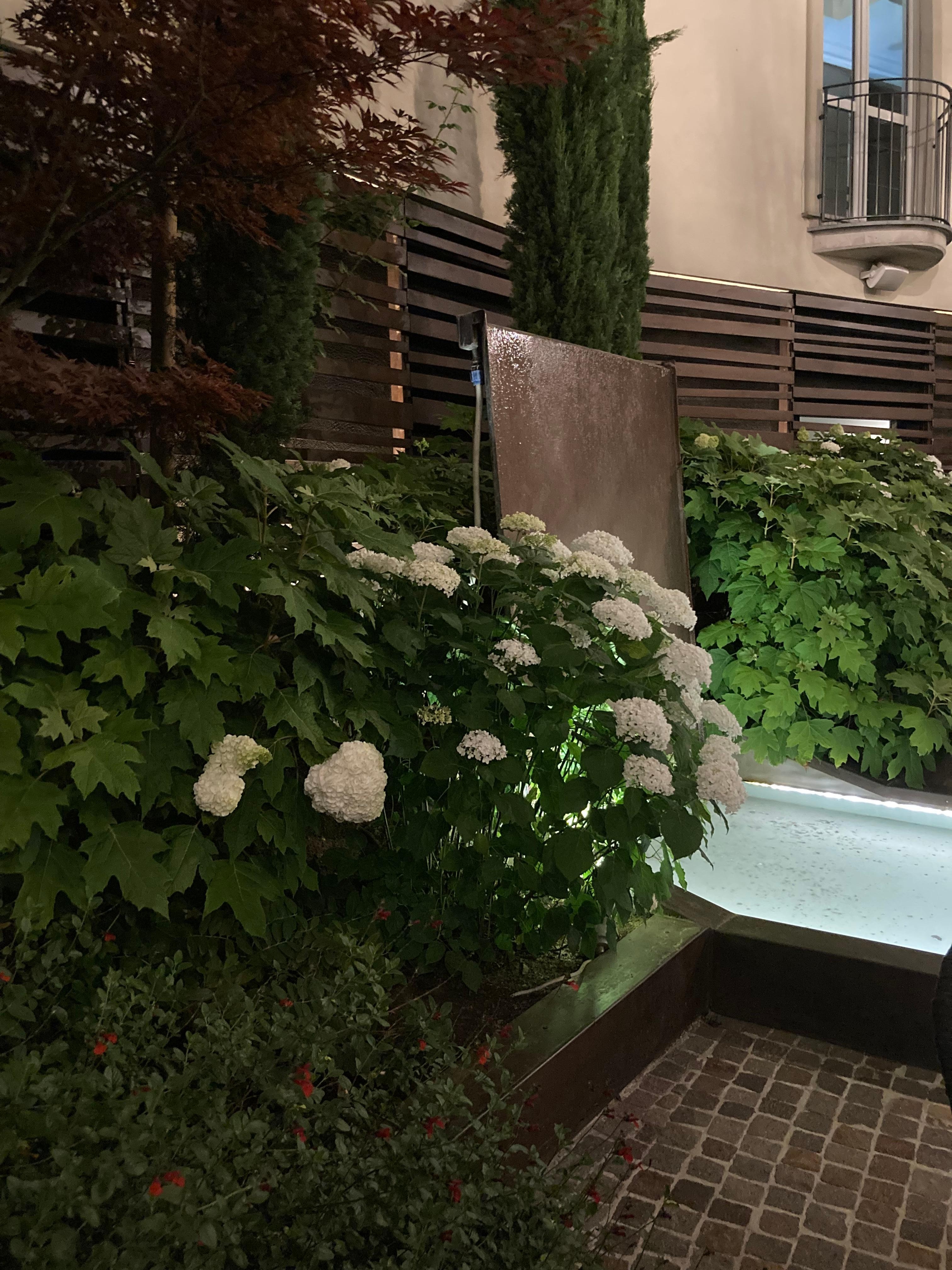 Hermoso jardínes y Selección de naturaleza
