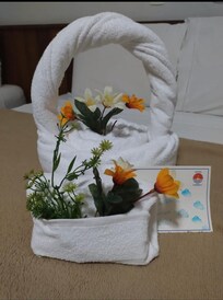 Surpreendente a dedicação