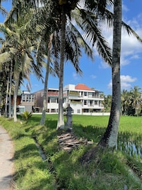 Luxe from the path