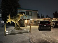 Snowing in late April.