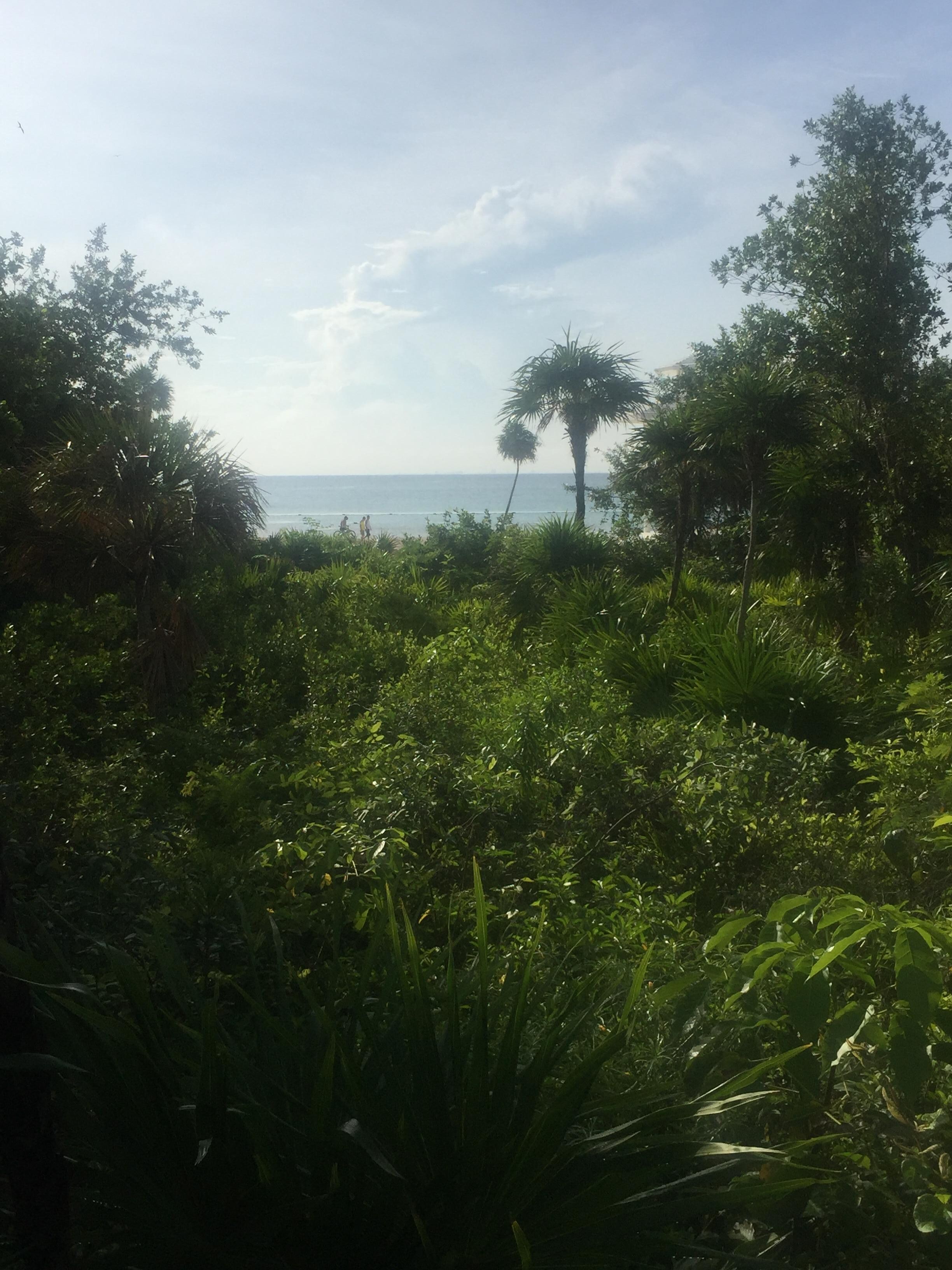 Ocean front view, kind of.
