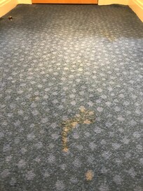 Multiple stains like this all over the floor. I had to wear shoes the entire time so I wouldn’t feel the texture on top of the stains.