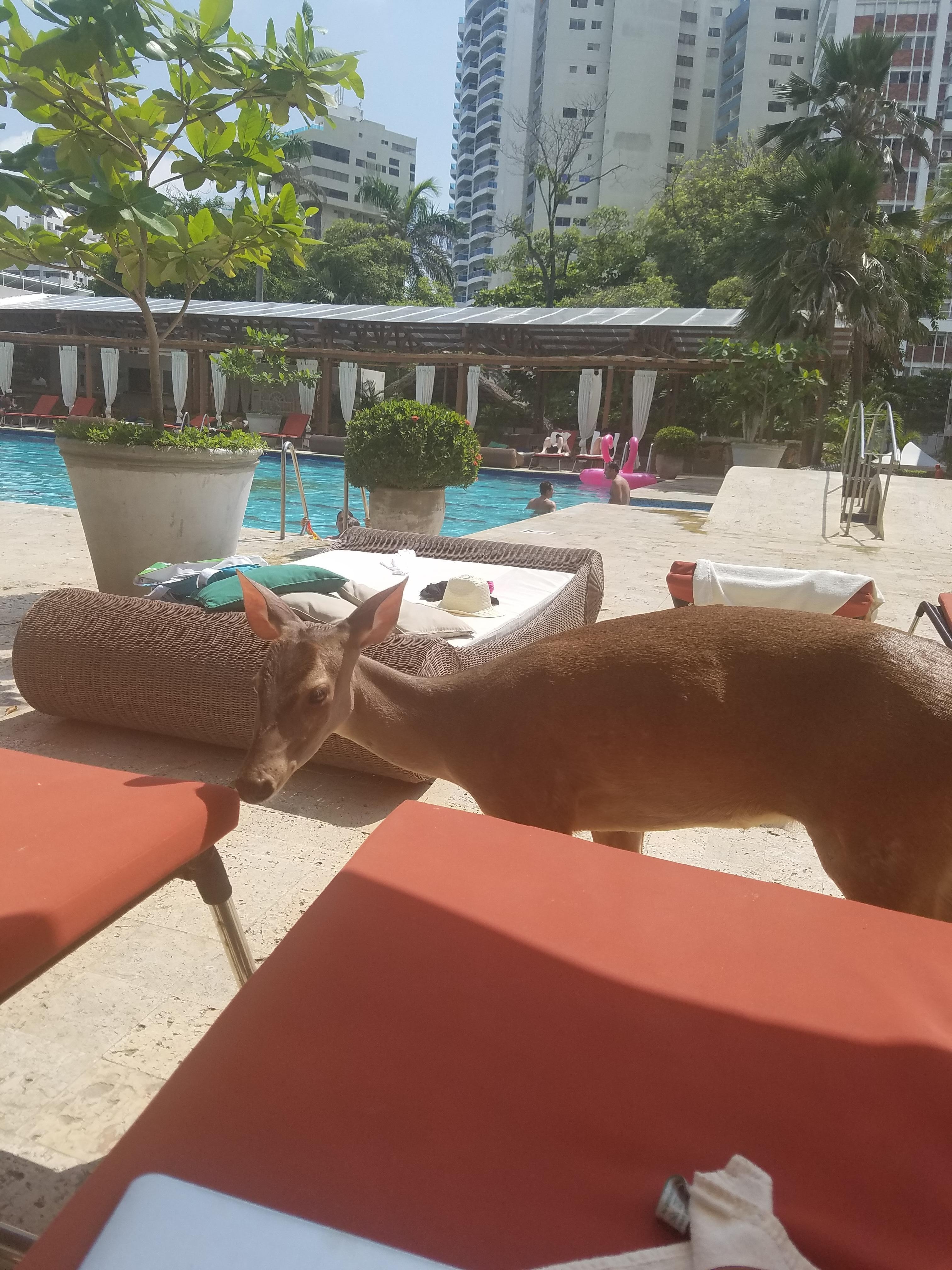 My son relaxing