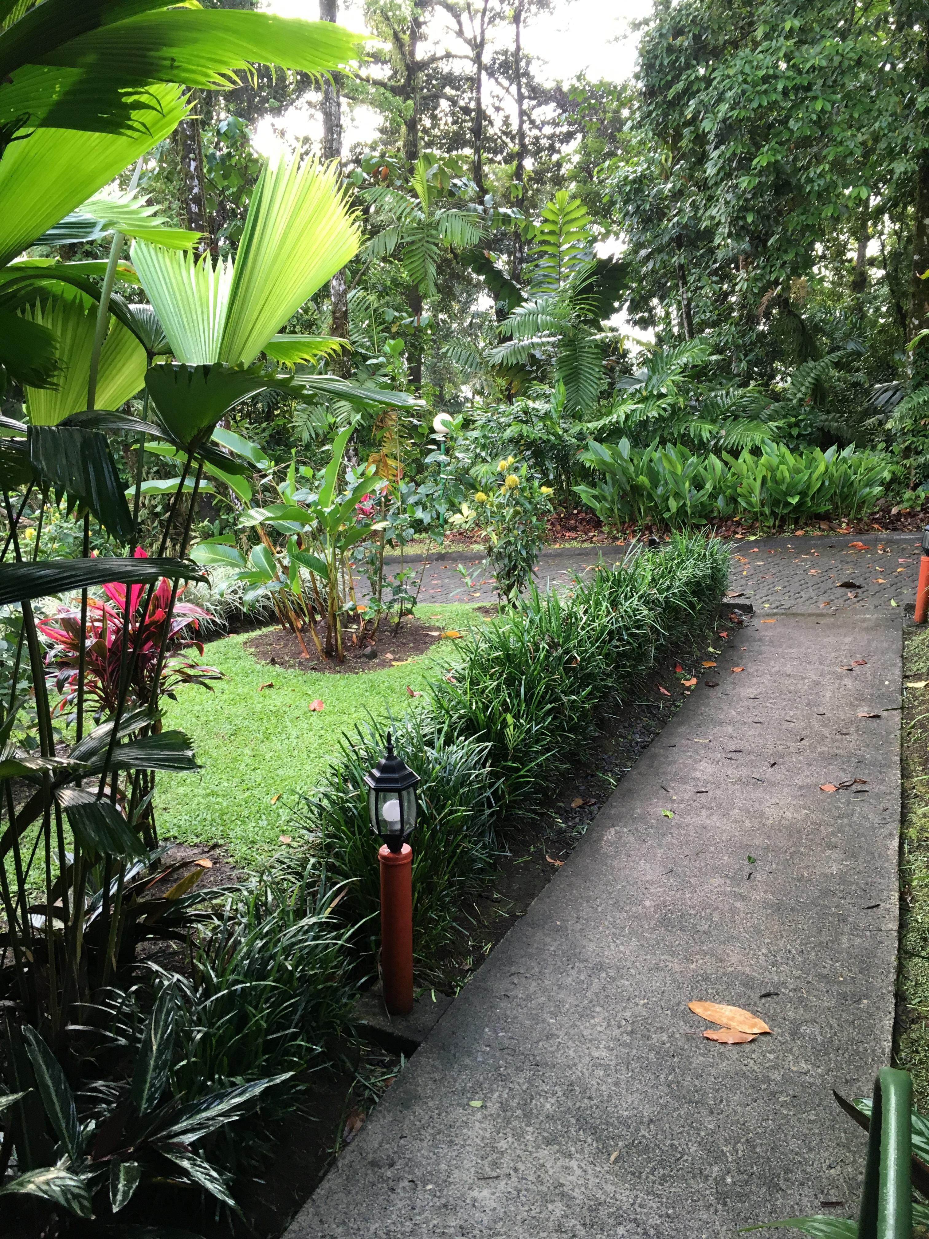 Evening view toward back of unit