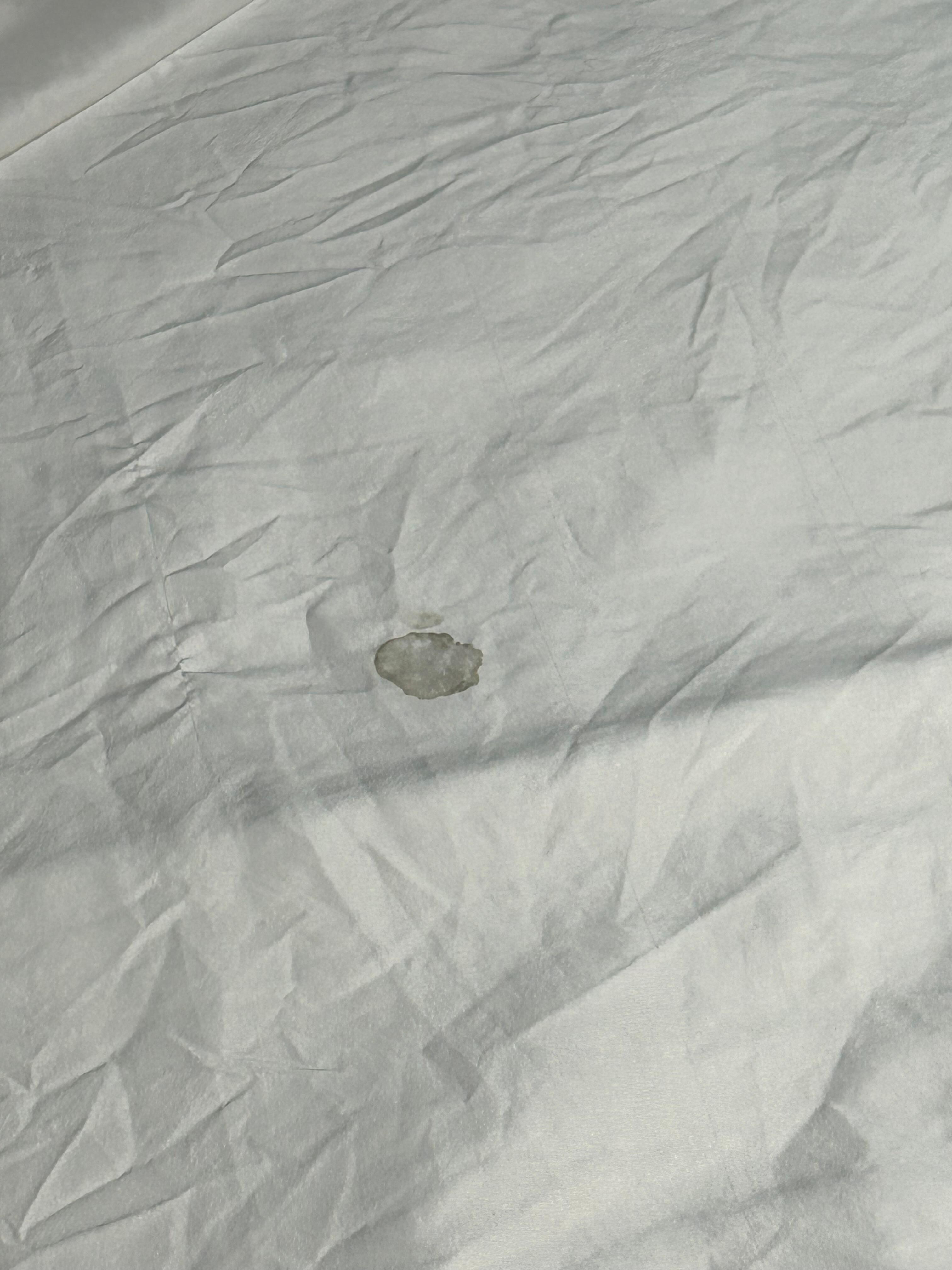 Blood stains on bed sheets