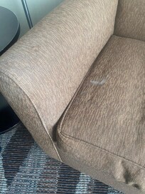 Body fluid stained furniture