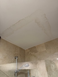 Bathroom ceiling