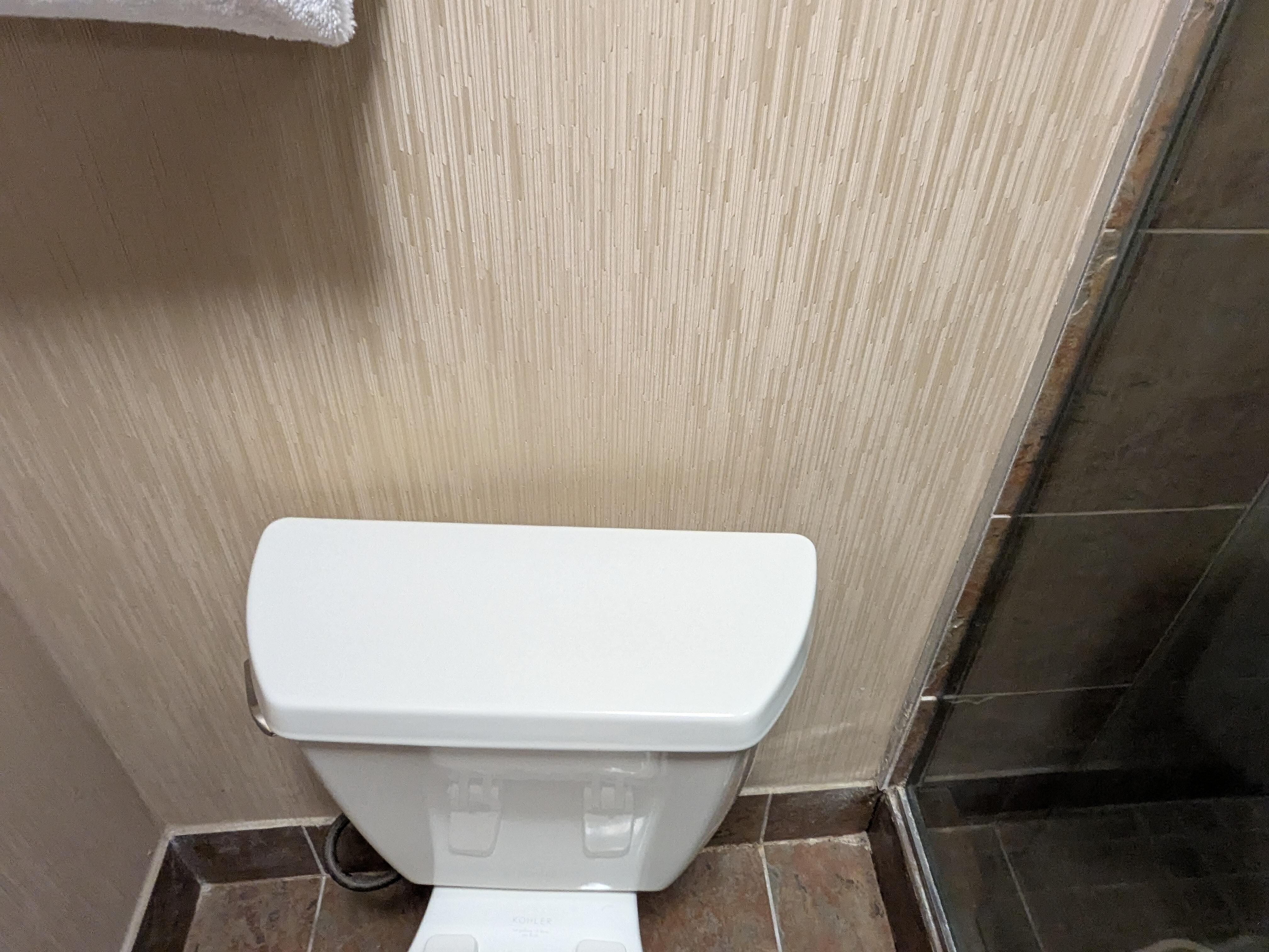 Toilet was loose on the floor flange which rocked , and was not even against the wall, could have broken loose.