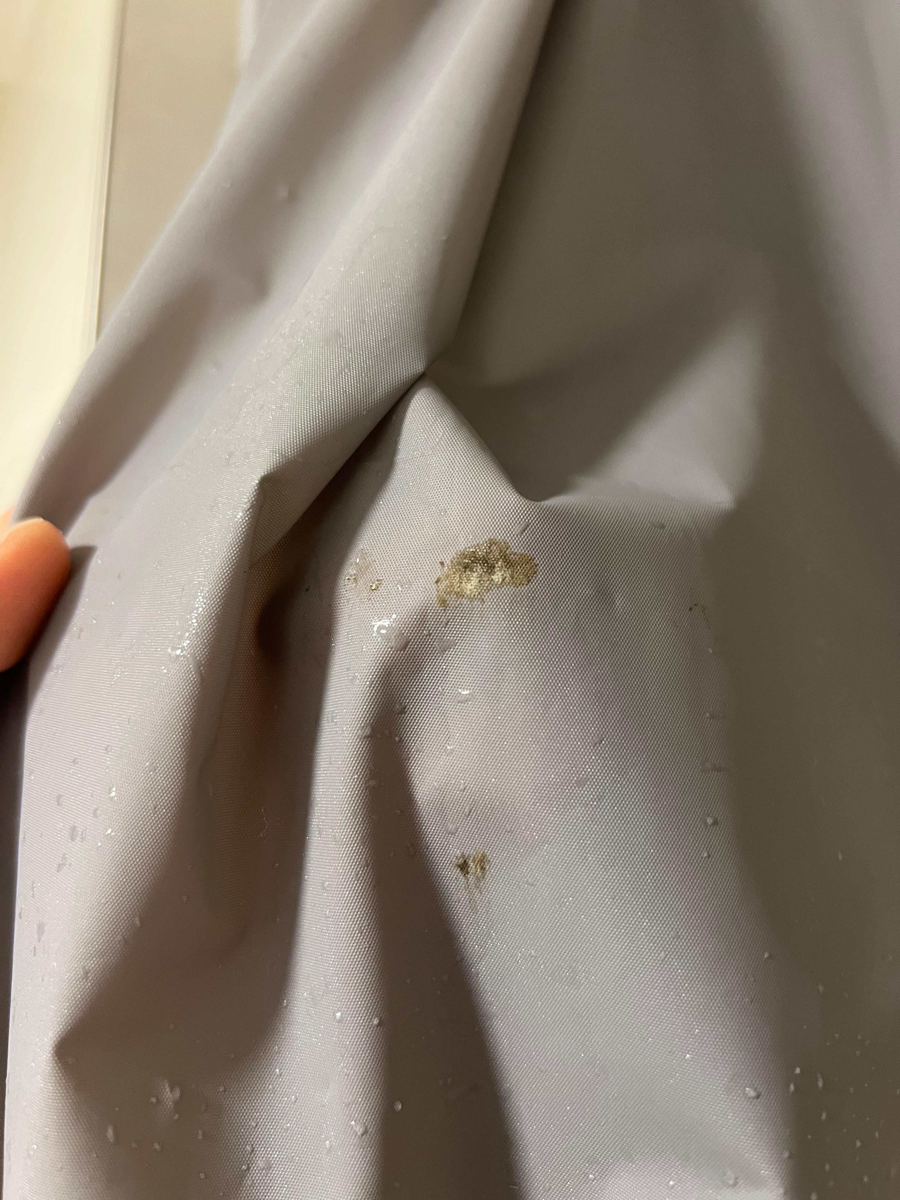 Mold in shower curtain. 