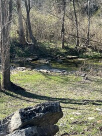 The Creek