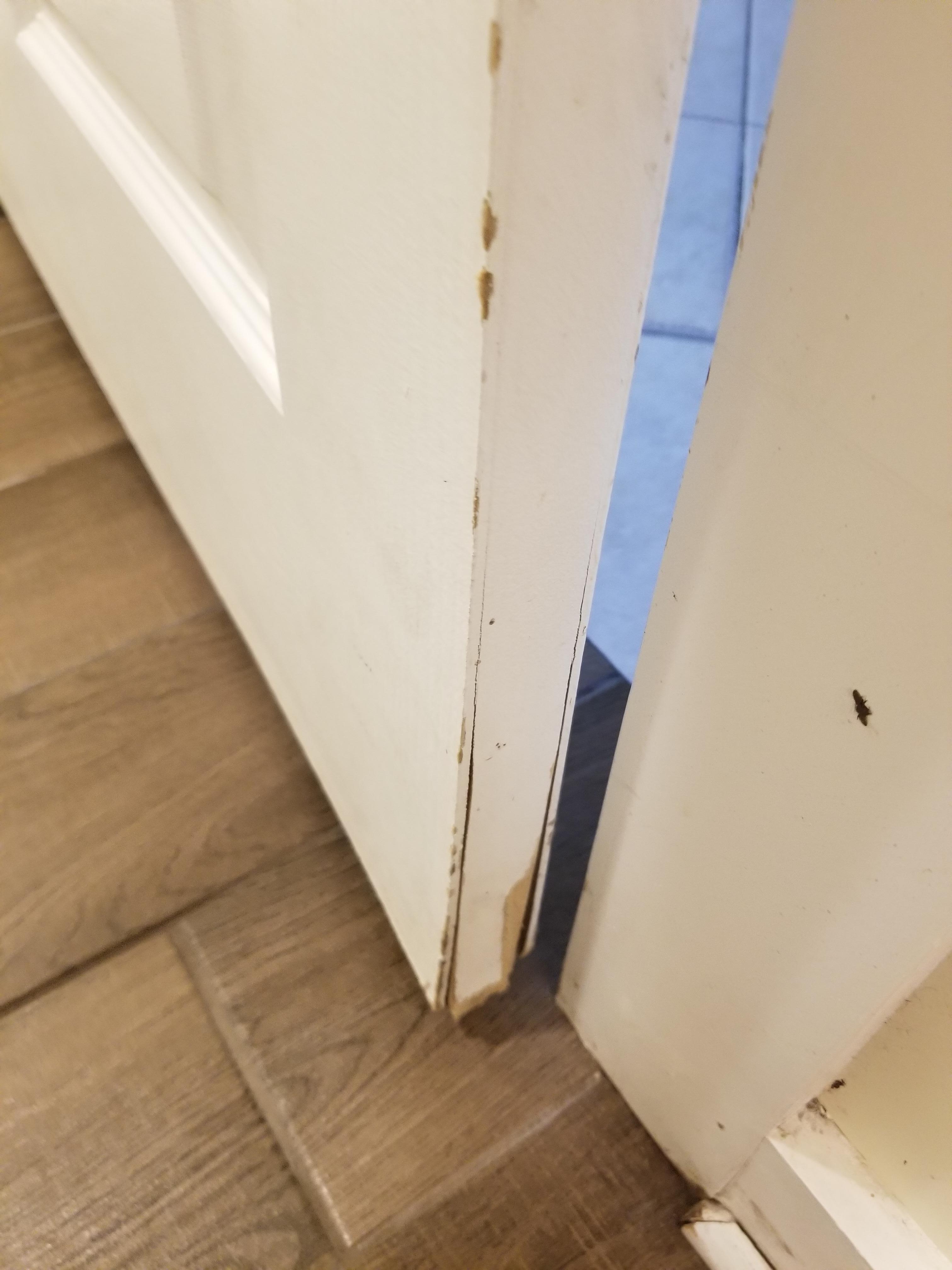 Bathroom door did not close it was broken. You can see a live bug on the door frame center right of this picture.
