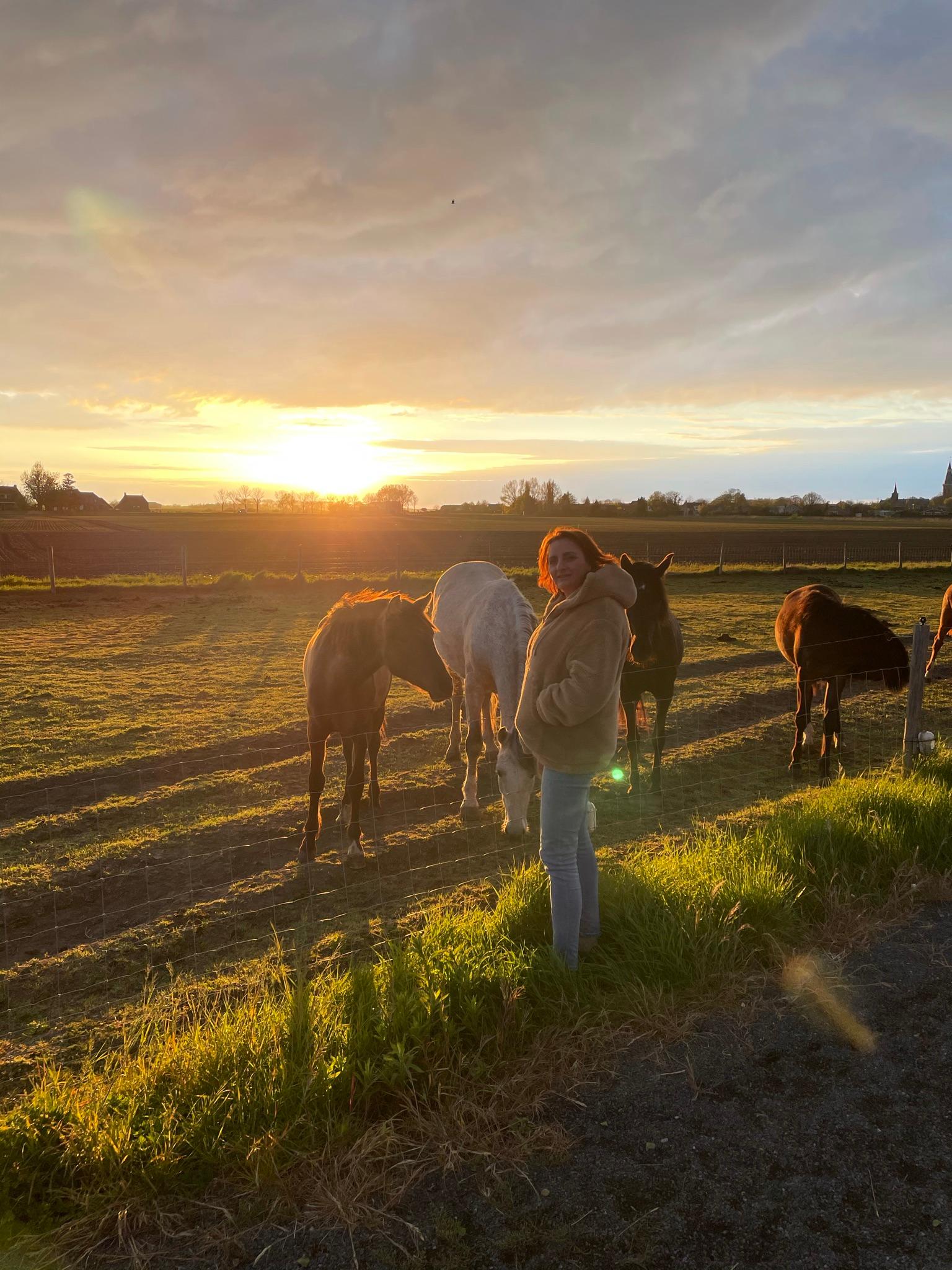 De “zoete pèèrdjes”