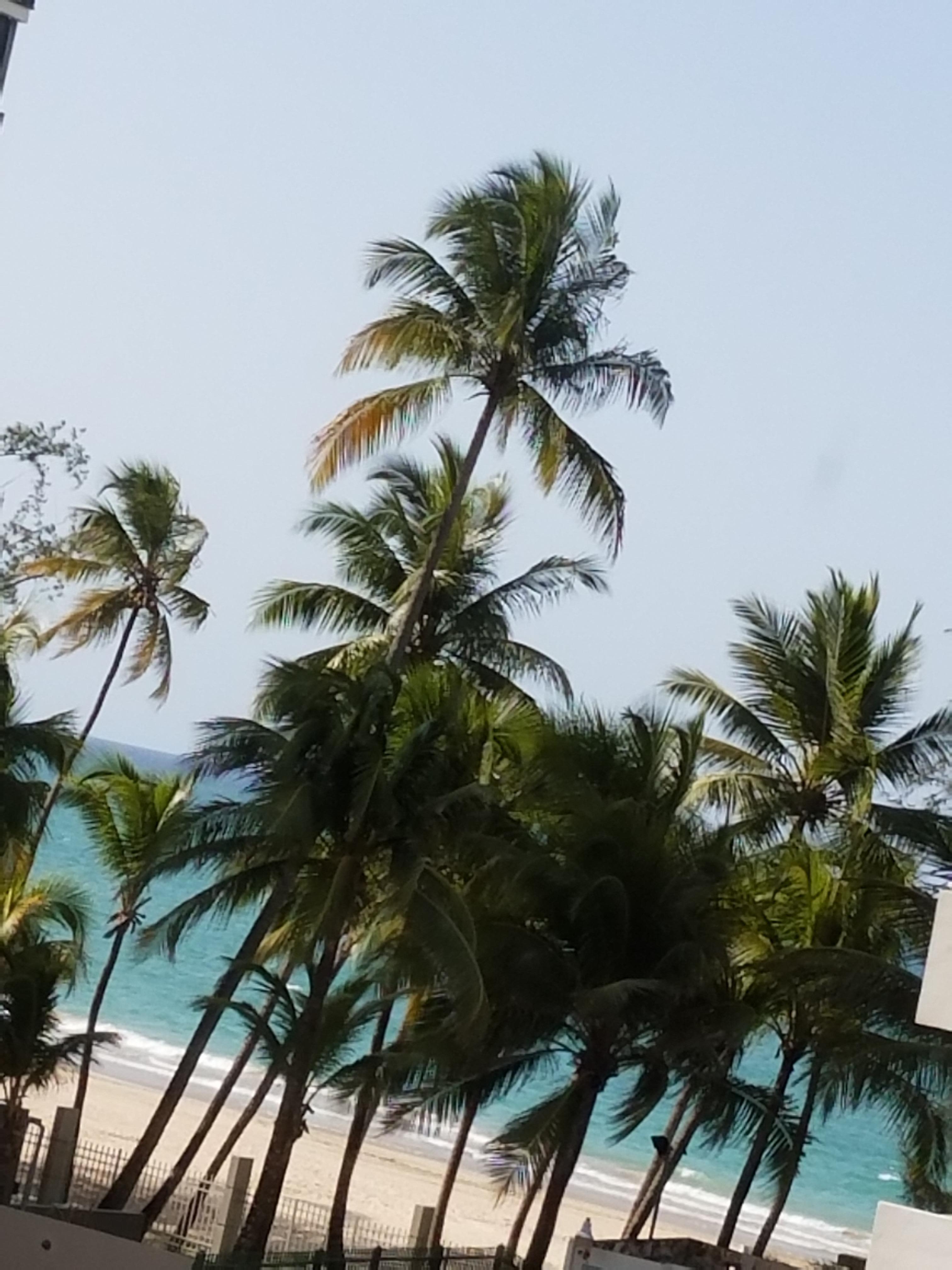 Beach view from window
